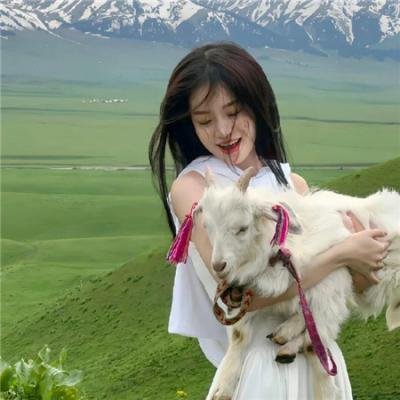 最后的亚历山大 海报